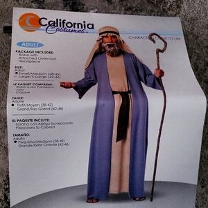 Noah/Moses adult male costume